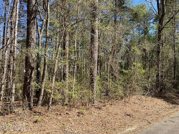 0.17 Acres of Residential Land for Sale in Brandon, Mississippi