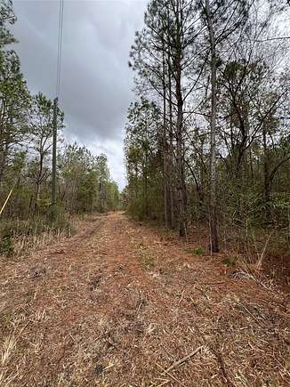 11 Acres of Land for Sale in Live Oak, Florida