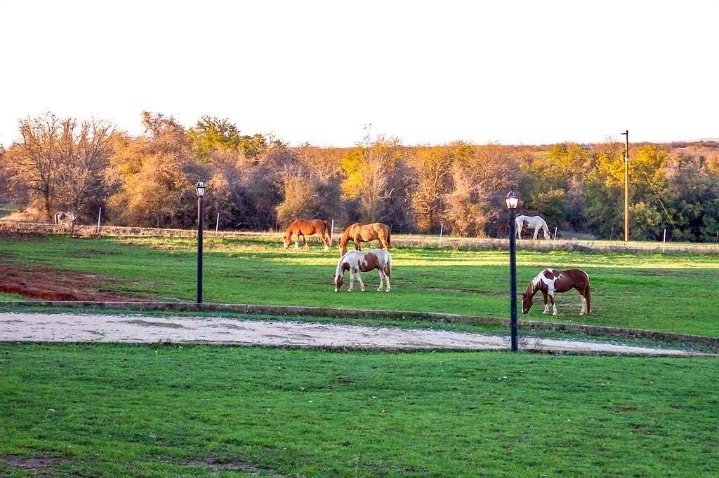 153.21 Acres of Recreational Land & Farm for Sale in Springtown, Texas