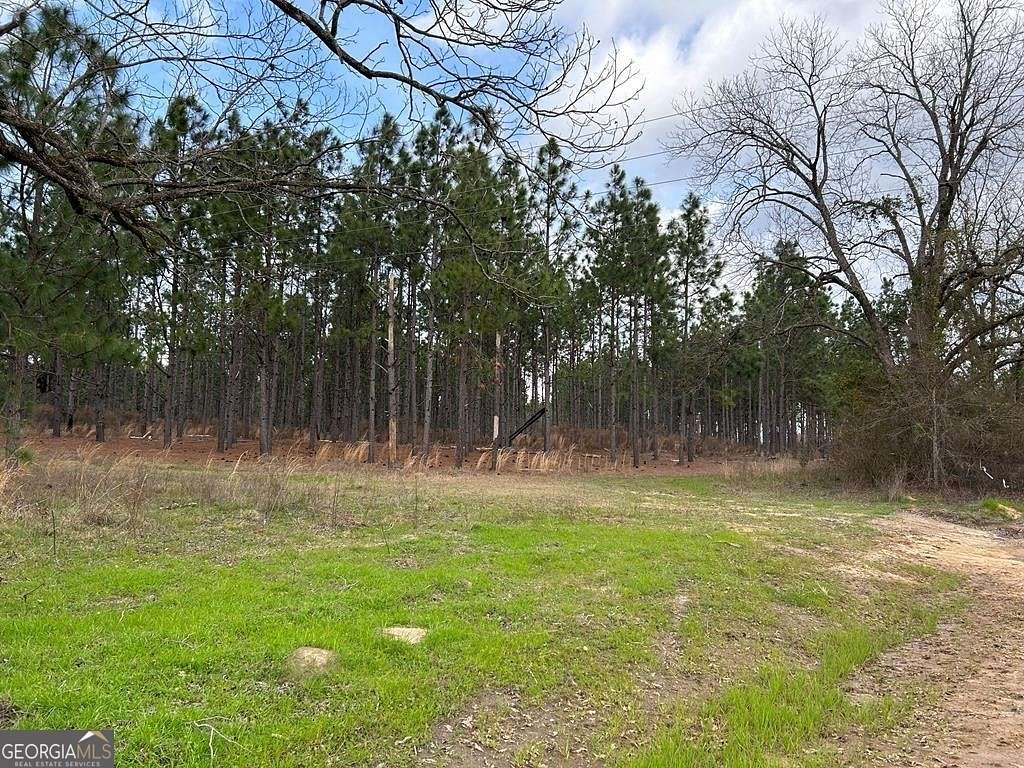 16 Acres of Land for Sale in Dublin, Georgia