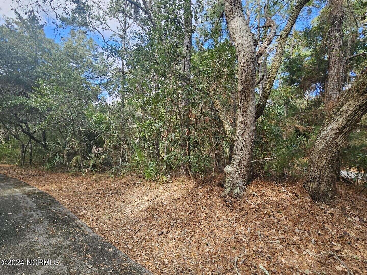 0.27 Acres of Residential Land for Sale in Bald Head Island, North Carolina