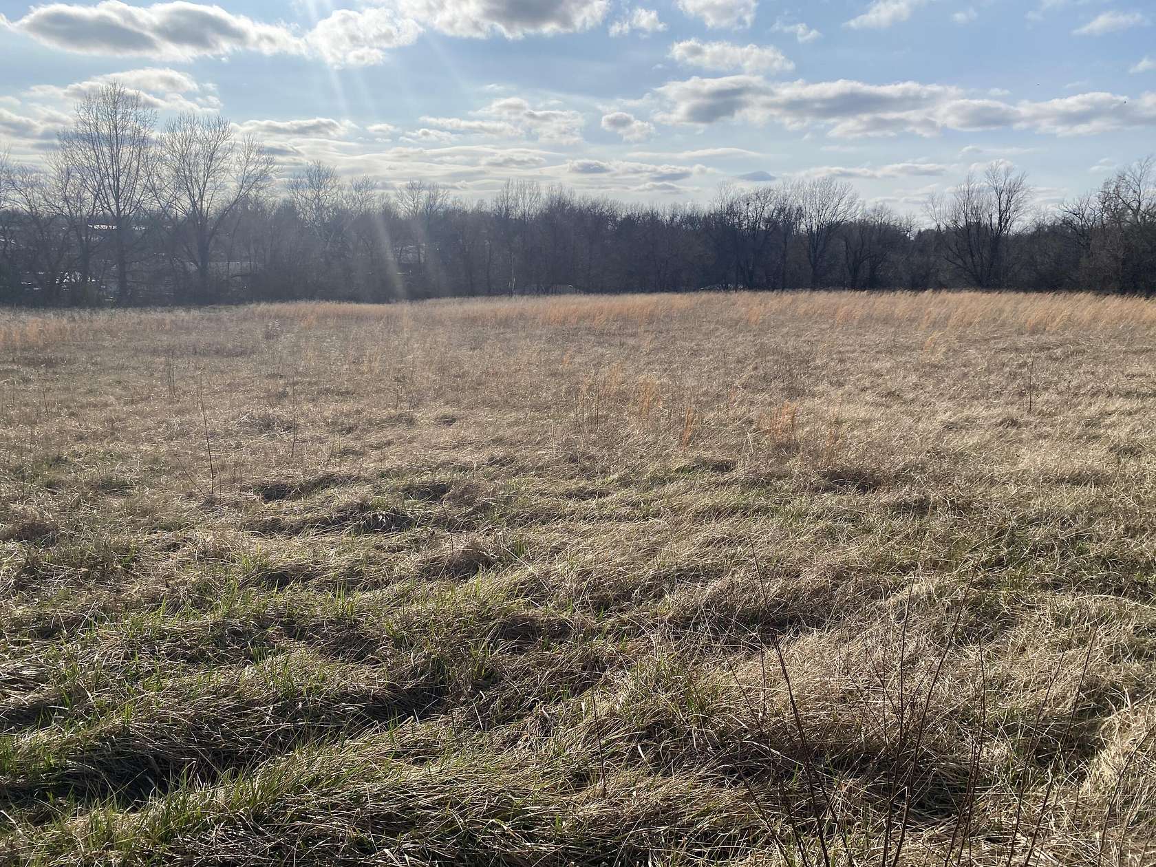 4 Acres of Residential Land for Sale in Mountain Grove, Missouri