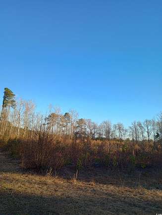12.5 Acres of Agricultural Land for Sale in Longs, South Carolina