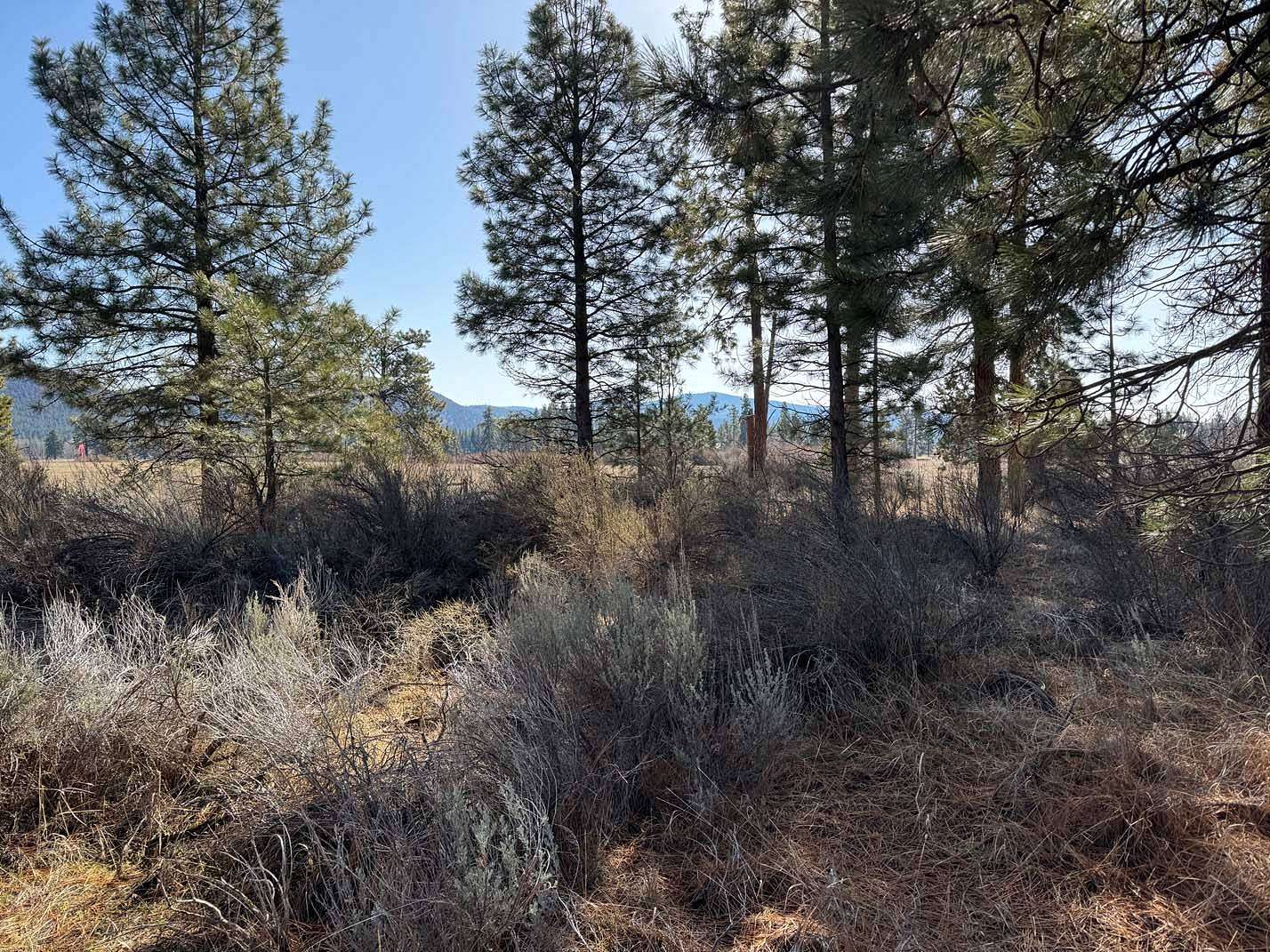 1.3 Acres of Residential Land for Sale in Chiloquin, Oregon