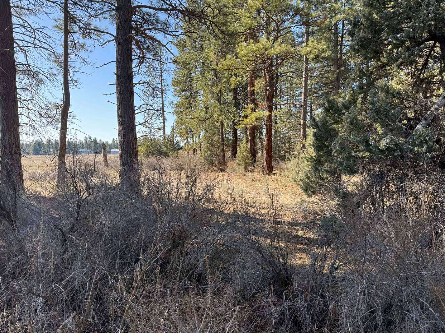 0.96 Acres of Residential Land for Sale in Chiloquin, Oregon
