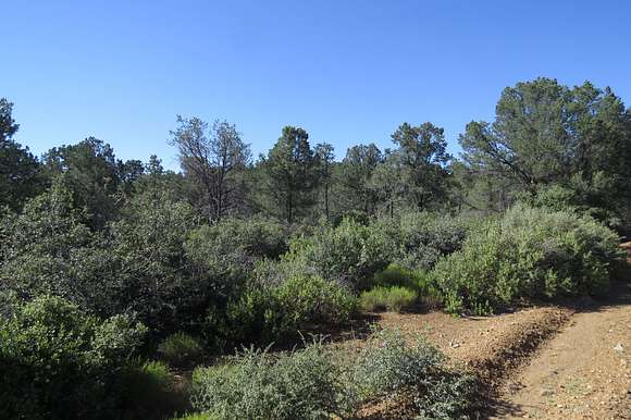 37.6 Acres of Agricultural Land for Sale in Kirkland, Arizona