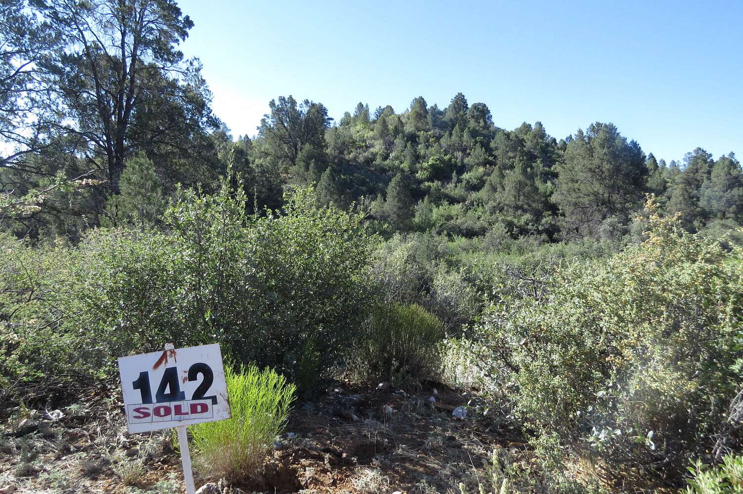 36 Acres of Agricultural Land for Sale in Kirkland, Arizona