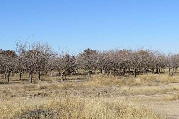 322 Acres of Land for Sale in San Simon, Arizona