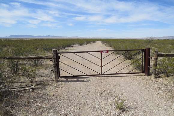 513 Acres of Agricultural Land for Sale in Virden, New Mexico
