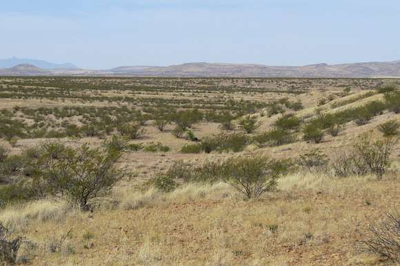 513 Acres of Agricultural Land for Sale in Virden, New Mexico