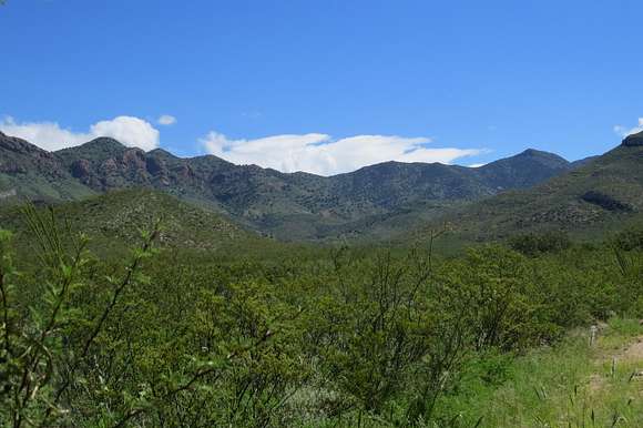 1,340 Acres of Recreational Land & Farm for Sale in Sierra Vista, Arizona