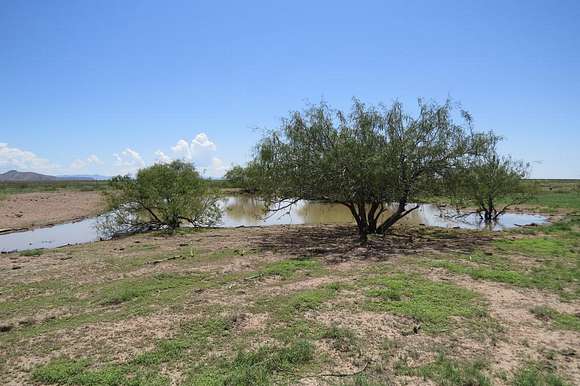 140 Acres of Agricultural Land for Sale in Virden, New Mexico