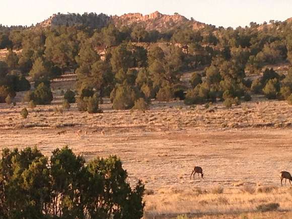 139 Acres of Recreational Land & Farm for Sale in Pie Town, New Mexico