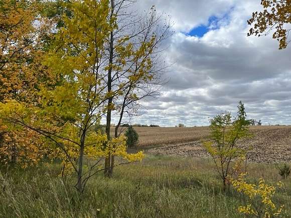 62.4 Acres of Land for Sale in Cokato, Minnesota