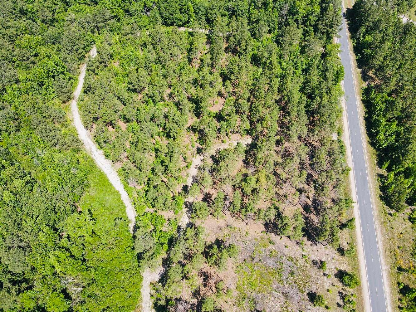 30 Acres of Recreational Land for Sale in Maxton, North Carolina