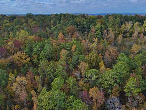 41 Acres of Land for Sale in Helena, Alabama