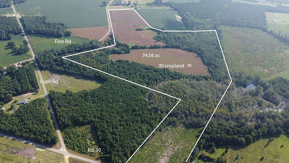 77 Acres of Recreational Land & Farm for Sale in Lake View, South Carolina
