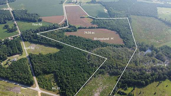 77 Acres of Recreational Land & Farm for Sale in Lake View, South Carolina