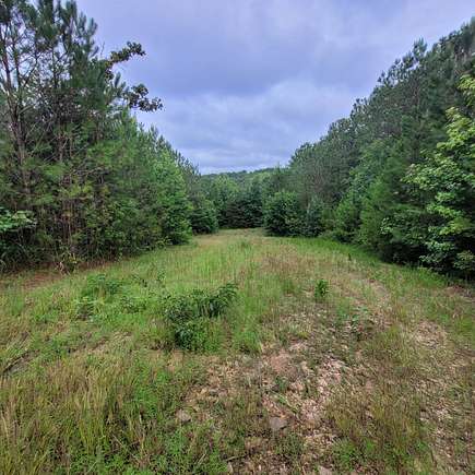 41 Acres of Recreational Land for Sale in Brilliant, Alabama