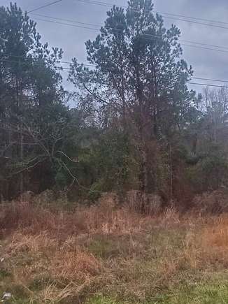 39 Acres of Land for Sale in Auburn, Alabama