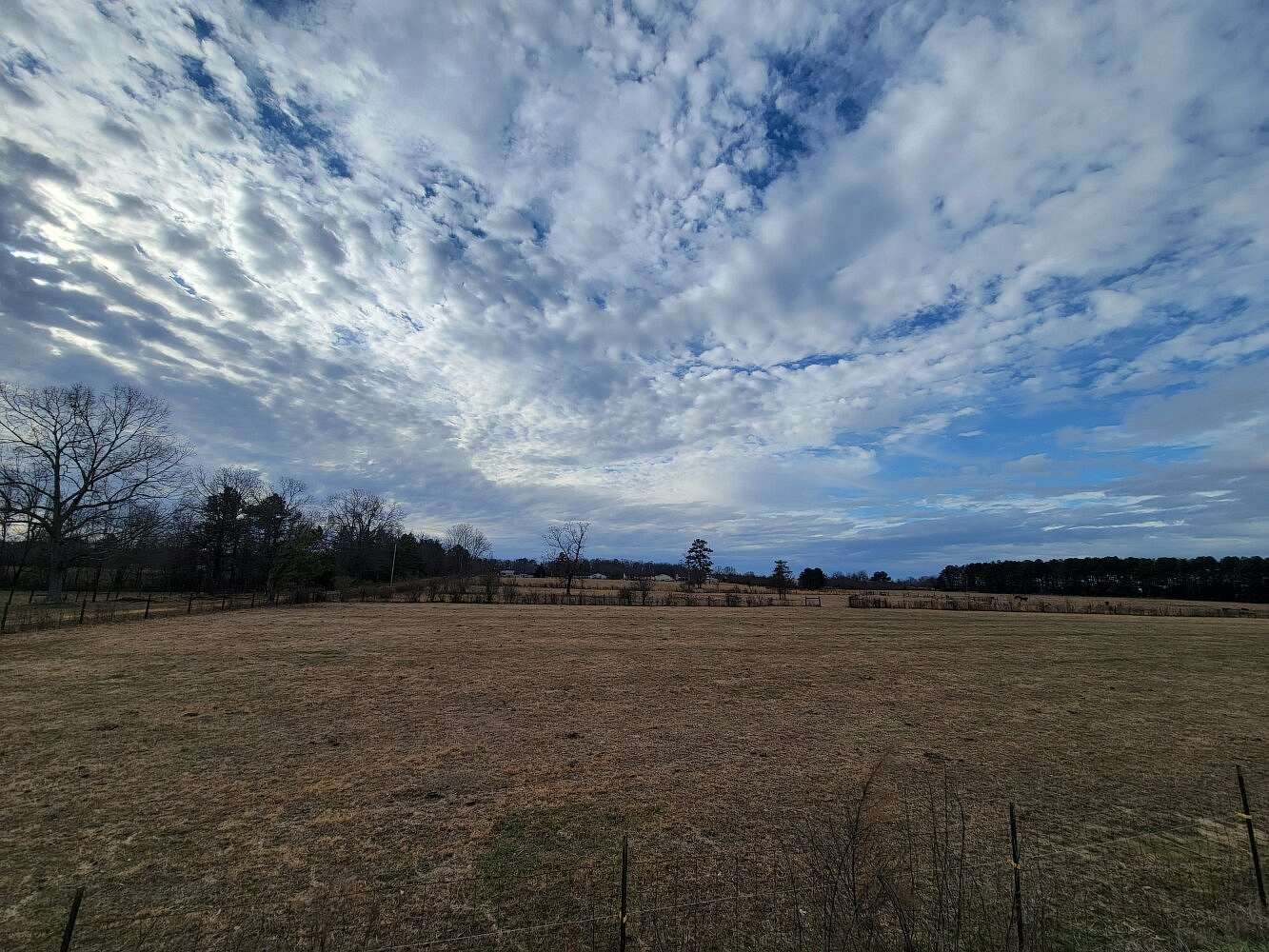 19.5 Acres of Agricultural Land for Sale in Athens, Alabama