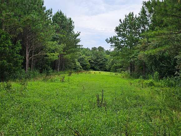 163 Acres of Recreational Land for Sale in Brilliant, Alabama