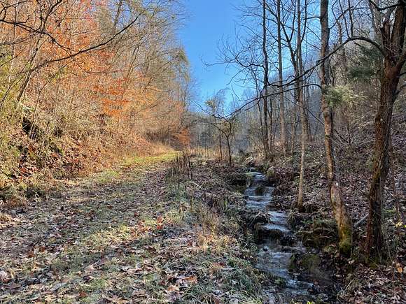 39.5 Acres of Land for Sale in Treadway, Tennessee