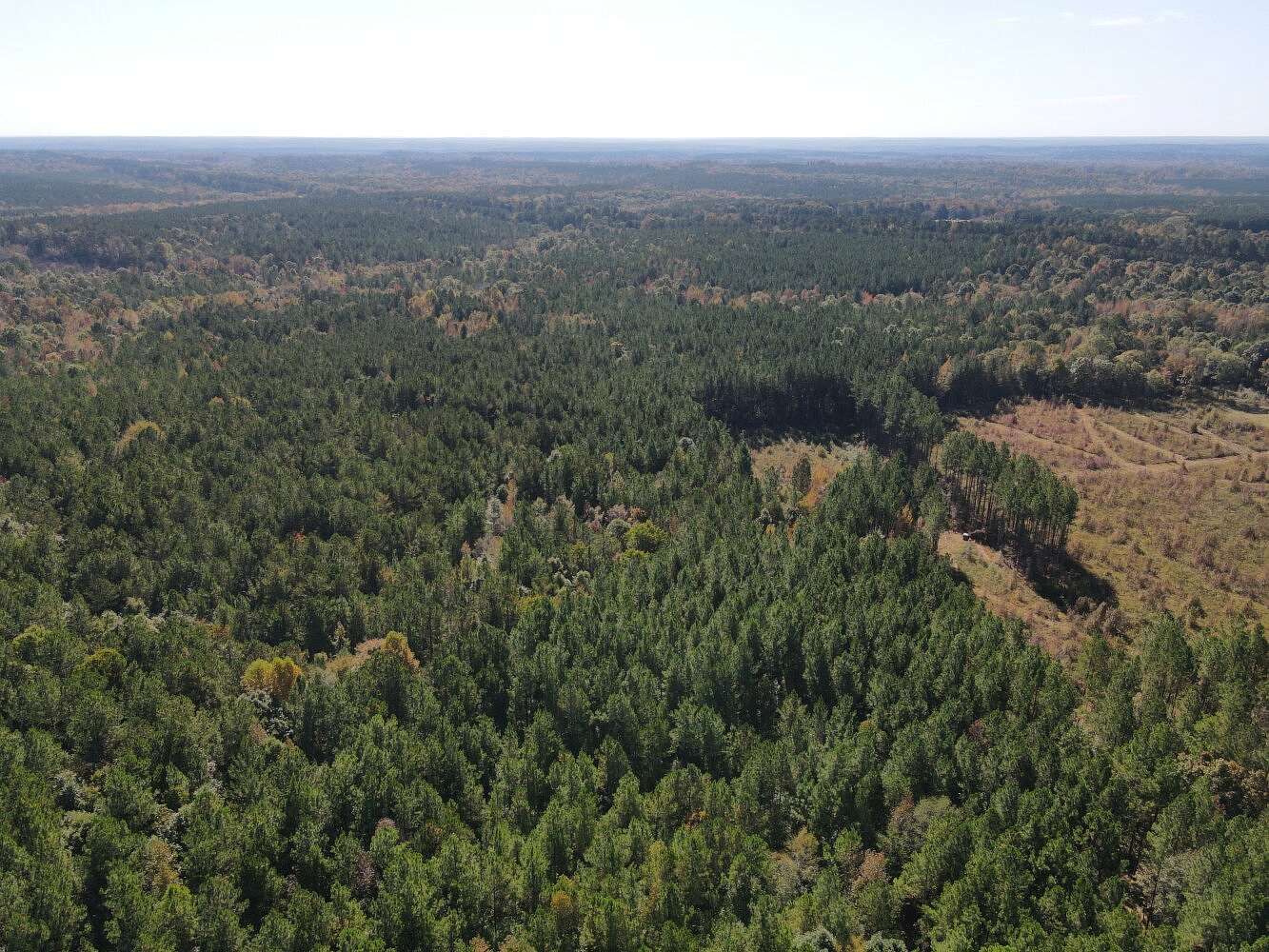 50 Acres of Recreational Land for Sale in Crawfordville, Georgia