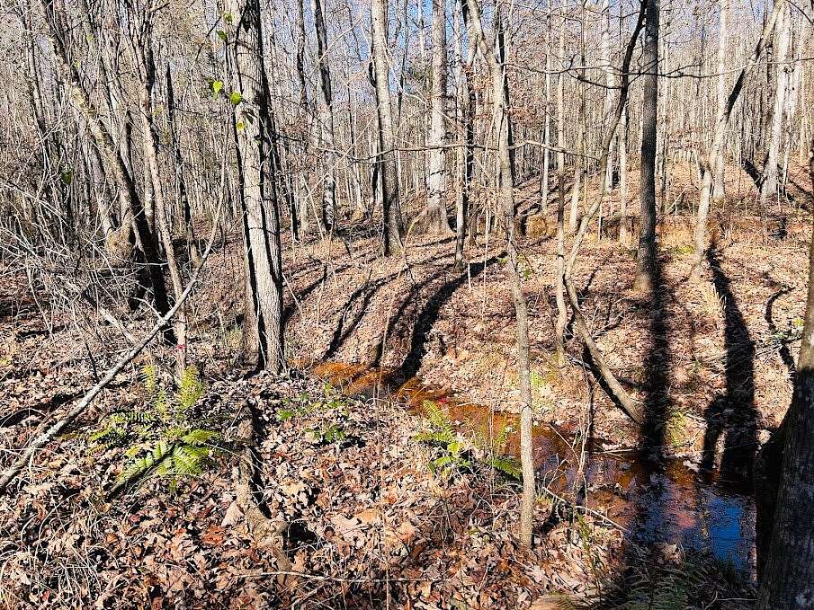 23 Acres of Recreational Land for Sale in Luthersville, Georgia