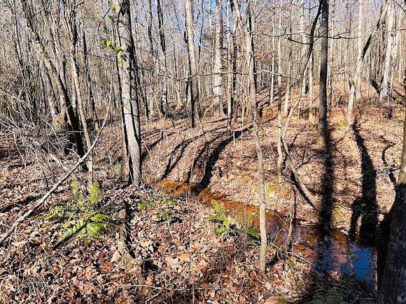 23 Acres of Recreational Land for Sale in Luthersville, Georgia