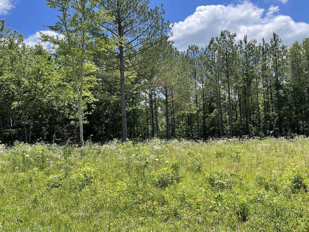 9.1 Acres of Residential Land for Sale in Hohenwald, Tennessee
