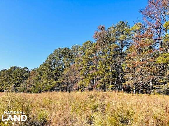 36 Acres of Land for Sale in Roanoke, Alabama