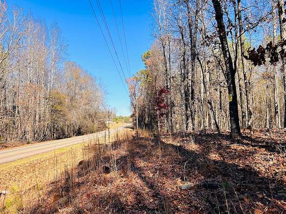 23 Acres of Recreational Land for Sale in Luthersville, Georgia