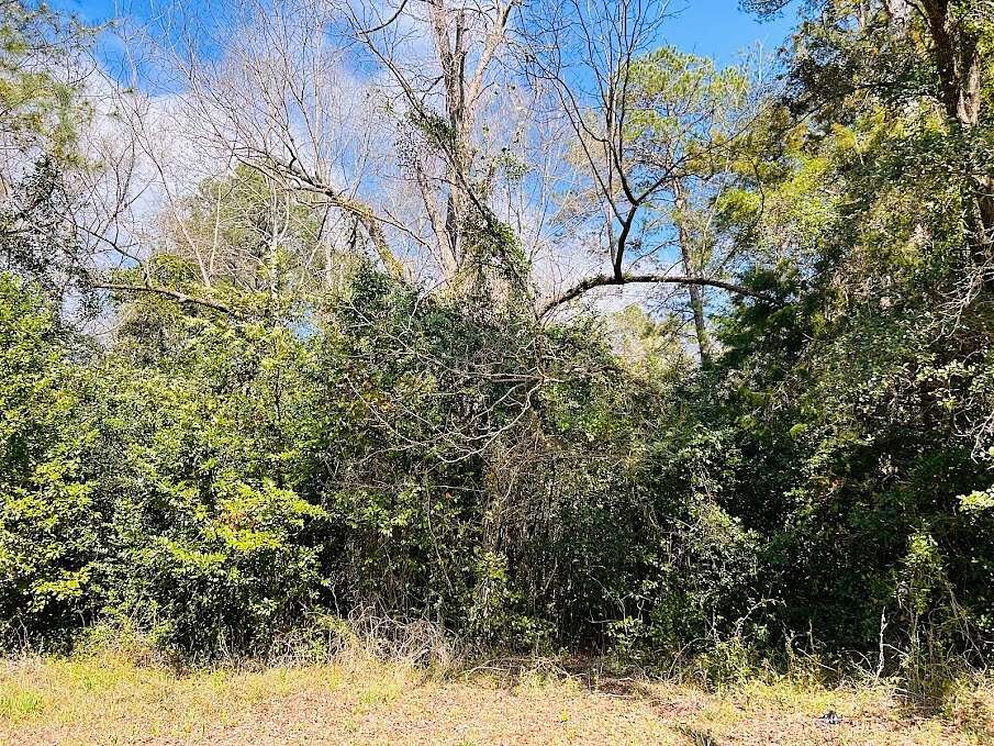 0.52 Acres of Land for Sale in Albany, Georgia