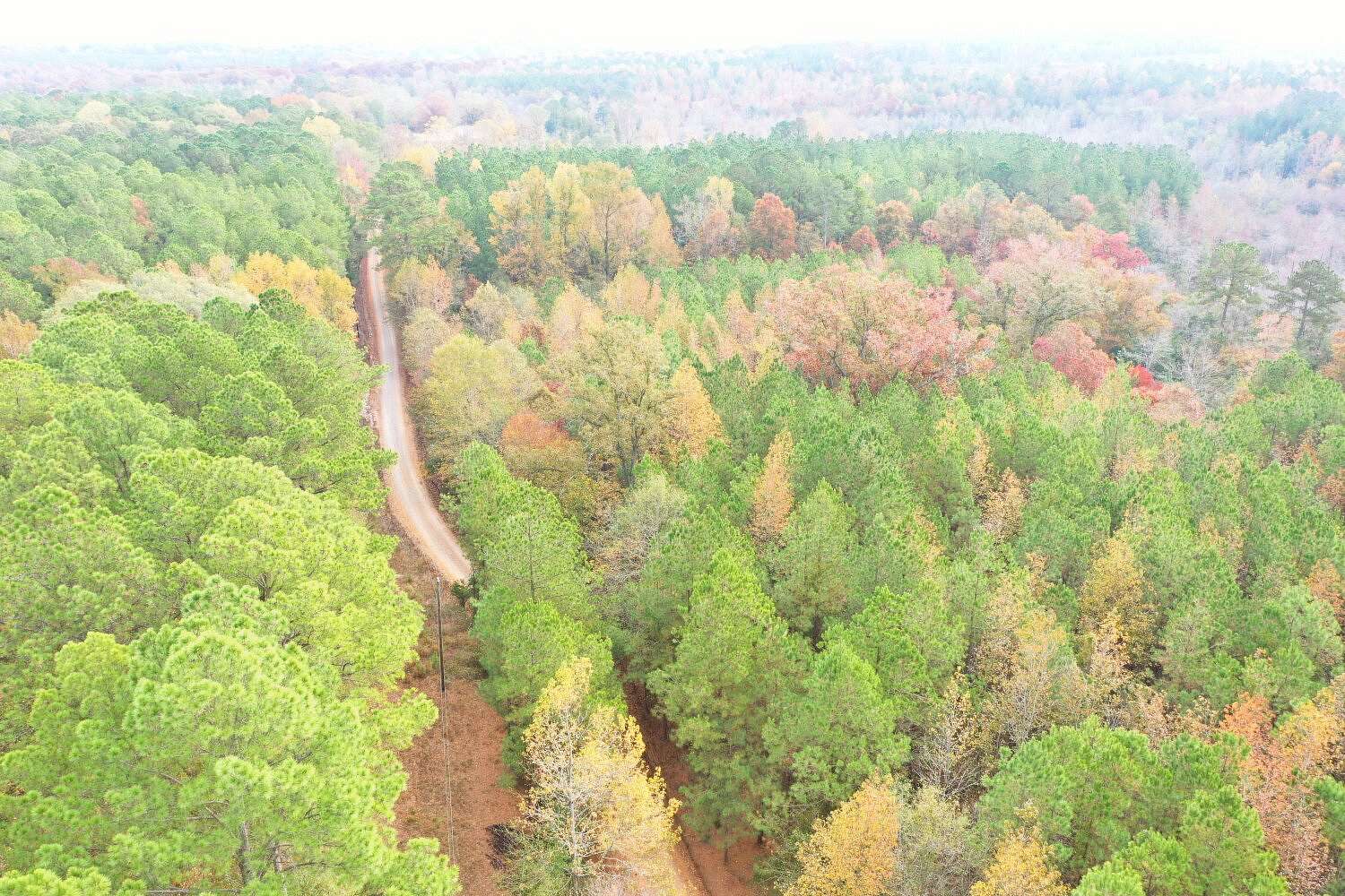 10 Acres of Land for Sale in Carthage, Mississippi
