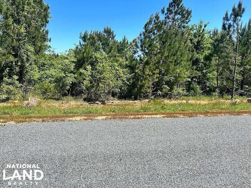 1 Acre of Residential Land for Sale in Butler, Georgia