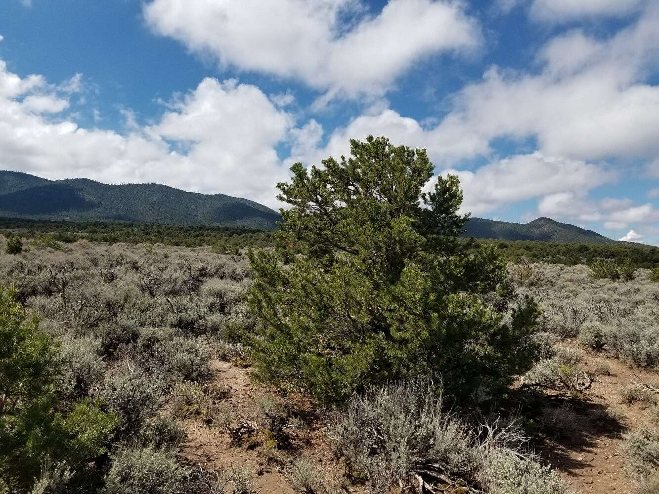 5.2 Acres of Land for Sale in Fort Garland, Colorado