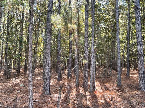 365 Acres of Recreational Land for Sale in Manning, South Carolina