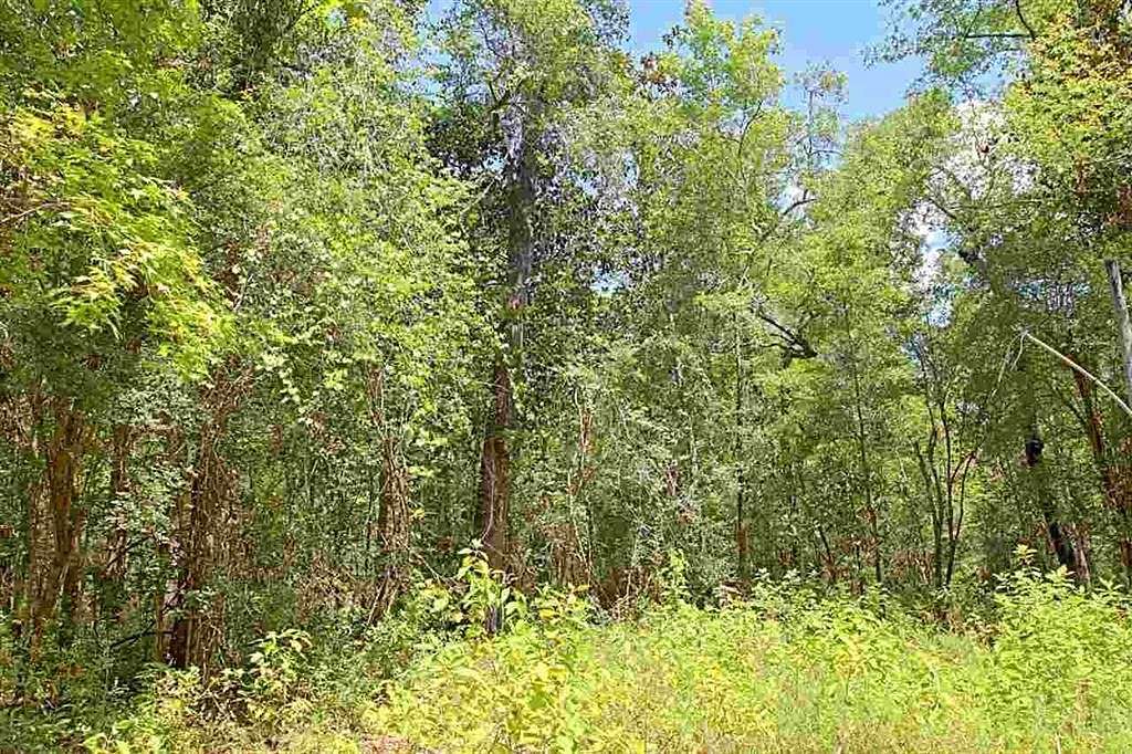 3.2 Acres of Residential Land for Sale in Sopchoppy, Florida