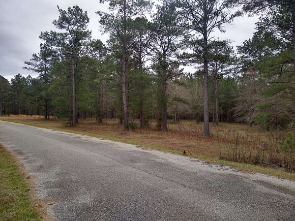 1 Acre of Residential Land for Sale in Quitman, Georgia