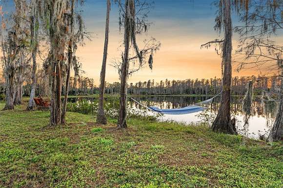 19.1 Acres of Land for Sale in Odessa, Florida