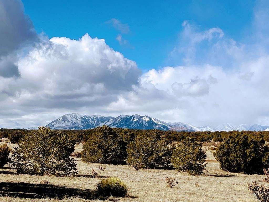 40 Acres of Recreational Land for Sale in Walsenburg, Colorado