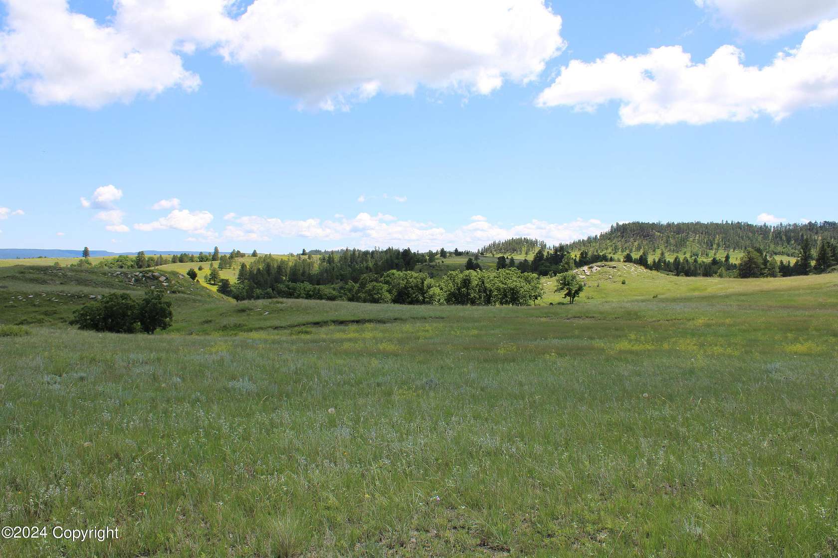 43.9 Acres of Agricultural Land for Sale in Hulett, Wyoming
