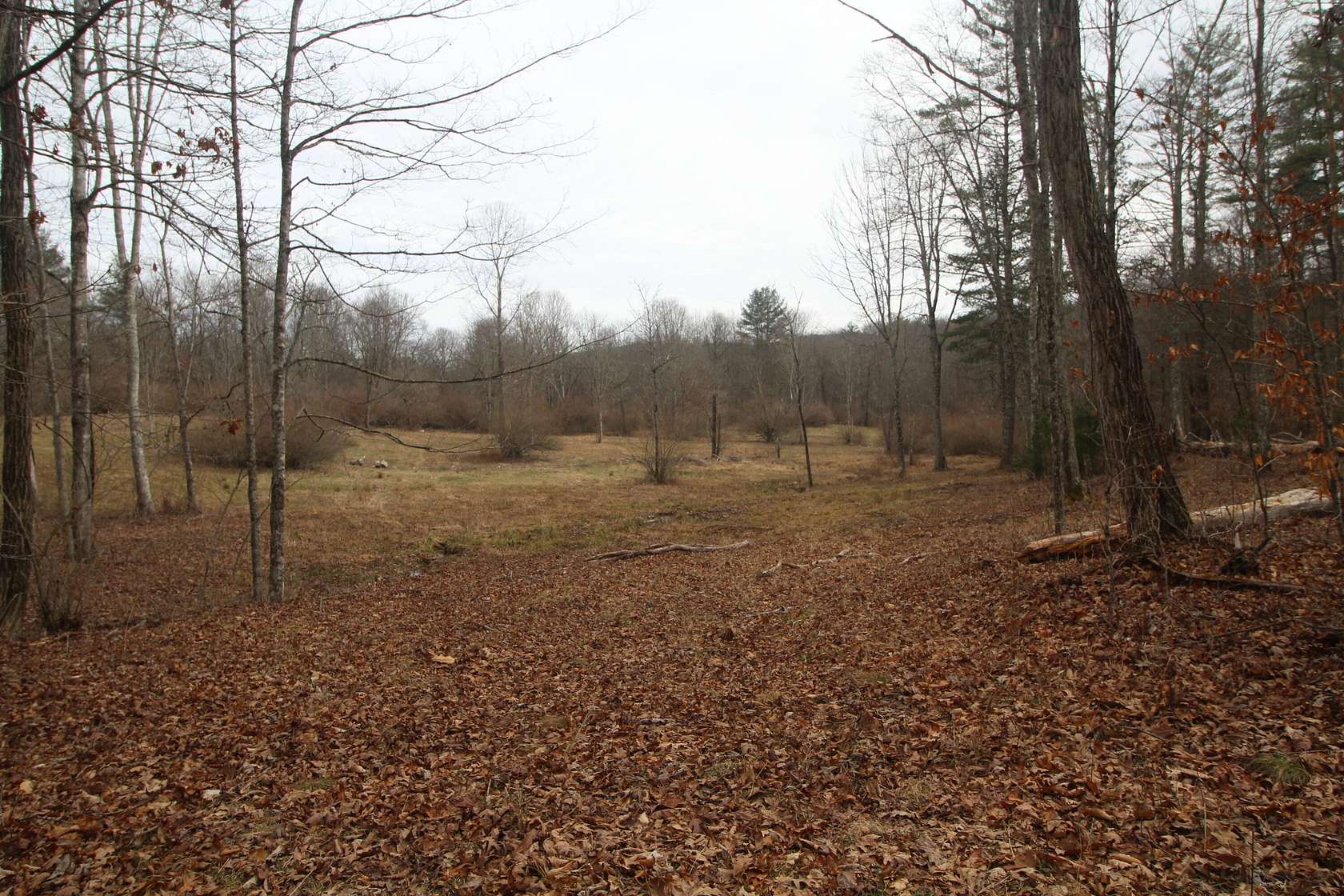 59.9 Acres of Land for Sale in Lewisburg, West Virginia