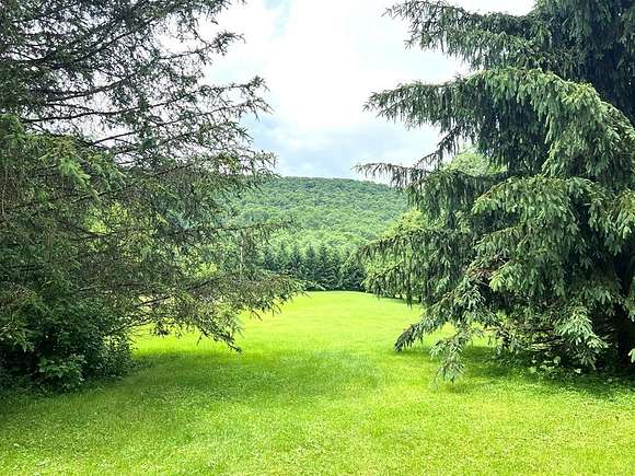 10 Acres of Residential Land with Home for Sale in Sabinsville, Pennsylvania