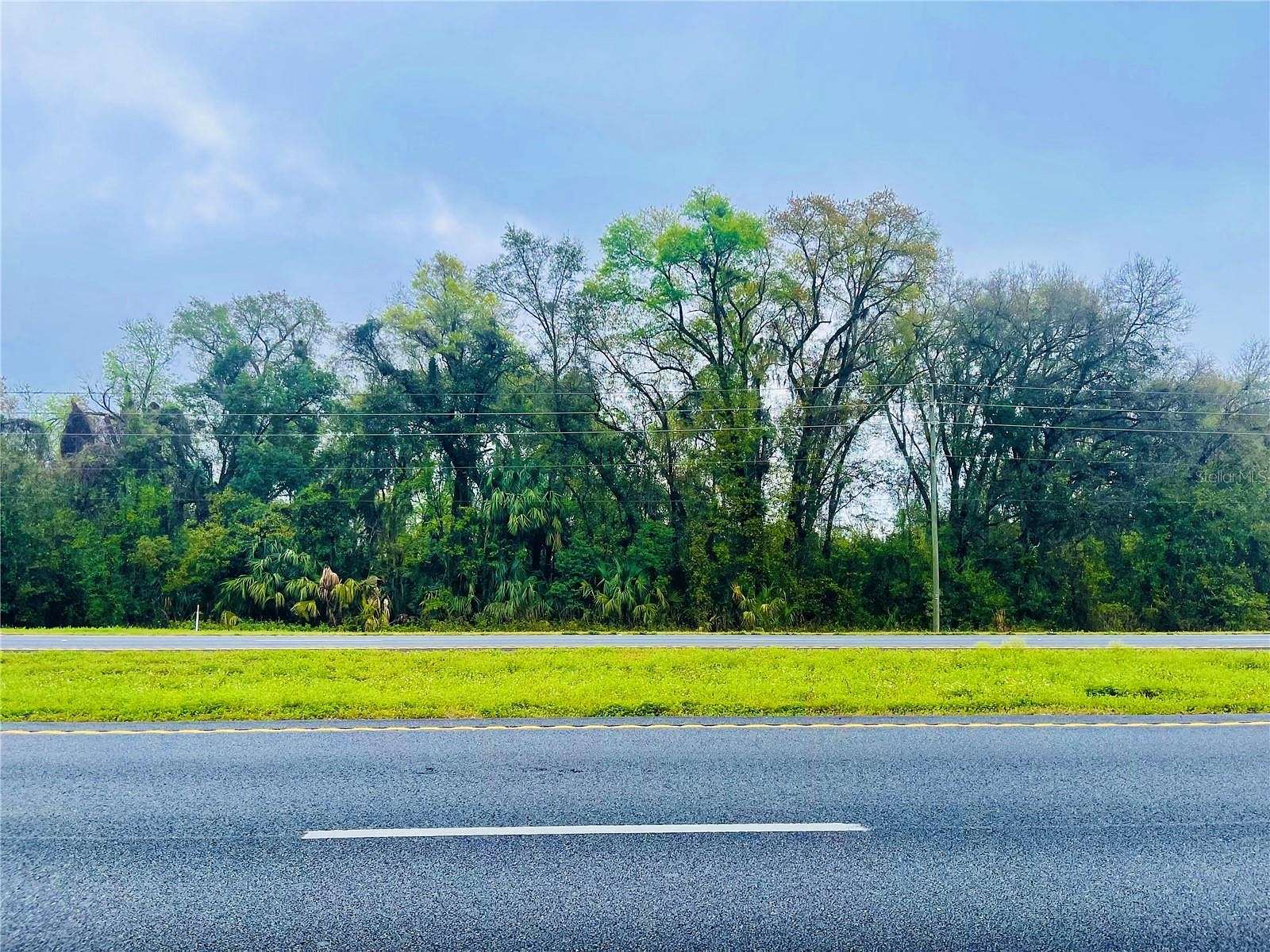 0.39 Acres of Commercial Land for Sale in Citra, Florida
