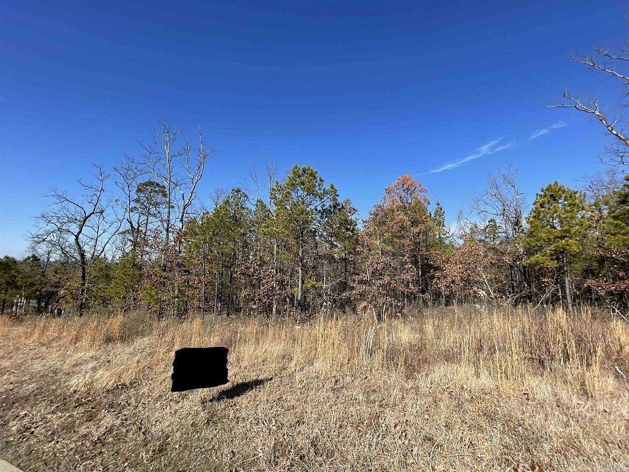 0.6 Acres of Residential Land for Sale in Roland, Arkansas