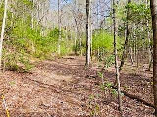 12.8 Acres of Land for Sale in Blairsville, Georgia