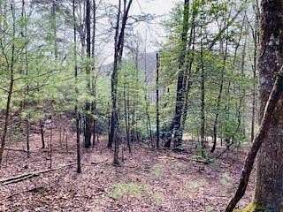 12.8 Acres of Land for Sale in Blairsville, Georgia
