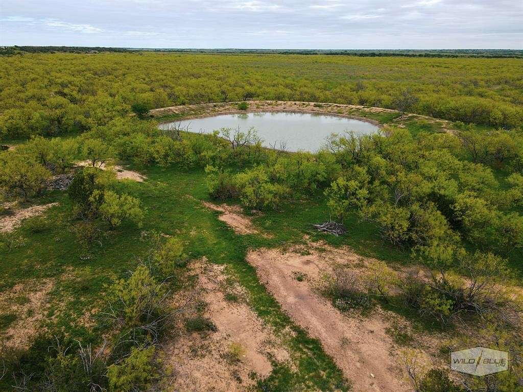 301 Acres of Recreational Land for Sale in Santa Anna, Texas